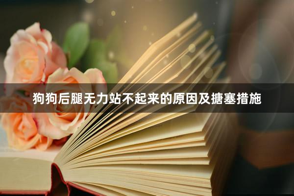 狗狗后腿无力站不起来的原因及搪塞措施