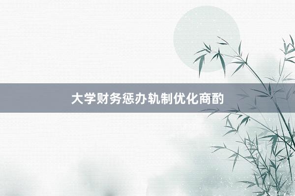 大学财务惩办轨制优化商酌